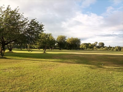 The image depicts a wide, open grassy field, likely a park or sports ground, with a line of trees forming a boundary in the distance. The grass is predominantly green, with patches of yellowing and brown, suggesting it may be late summer or early autumn. Long shadows are cast across the field from the trees and possibly from unseen objects, indicating the sun is at a low angle, likely late afternoon or early morning.
In the foreground and midground, several trees are visible. On the left, a large tree with a gnarled trunk and dense foliage dominates the scene. Other trees, with lighter green leaves, are scattered across the field and form a more continuous line of woodland in the background. The sky is partly cloudy with a mix of white and grey clouds against a pale blue sky.
There are some subtle signs of human activity: faint shadows that might suggest people in the distance, and what appears to be a small white object on the grass in the midground. The overall impression is one of a tranquil, natural setting within or on the outskirts of an urban area. This scene is characteristic of areas like Daisy Nook Country Park in Tameside, United Kingdom, known for its open spaces, woodland, and recreational grounds.