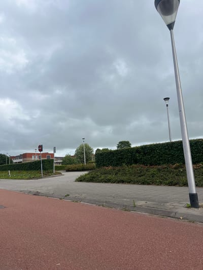The image shows a residential street scene in Leeuwarden, Netherlands, under an overcast sky. The perspective is from ground level, looking up and along the street. The foreground is dominated by a reddish-brown path, likely for cycling or jogging, which transitions to a grey paved sidewalk. A neatly trimmed green hedge runs along the sidewalk, separating it from the properties beyond. Behind the hedge, a row of houses with red brick exteriors and white-framed windows is visible. Streetlights with silver poles and dark heads are spaced along the sidewalk. Several traffic signs are also present, including one circular sign with a red border and a red horizontal bar, indicating a prohibition. The sky is a uniform grey, suggesting cloudy or possibly impending rainy weather. The scene appears quiet and orderly, typical of a suburban environment. No people are visible in the image. The time of day is indeterminate due to the overcast conditions, but it is likely daytime.
