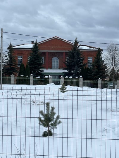 The image depicts a winter scene in the city of Kalinino, Russia, under an overcast sky. In the foreground, a dark metal mesh fence runs horizontally across the frame, partially obscuring a snow-covered field. Two small, green evergreen saplings are visible rooted in the snow through the fence, one prominently in the lower center and another smaller one further back.
Behind the snow-covered field, a more substantial fence demarcates a property boundary, featuring light-colored stone or concrete pillars interspersed with dark metal railings that have subtle golden accents. Beyond this fence stands a two-story building constructed of red brick, characterized by a prominent central pedimented entrance supported by two red columns. The building's reddish-brown gable roof is partially covered with snow. A large arched window with white frames is centered on the second floor above the entrance, flanked by rectangular white-framed windows on both levels. Several mature evergreen trees (fir/spruce) are positioned in front of and around the building, partially obscuring its lower facade. To the far right, a bare deciduous tree is visible, and a dark-colored vehicle is partially obscured behind the trees and fence. A utility pole with overhead wires is present on the far left. No individuals or discernible actions are present in the scene.