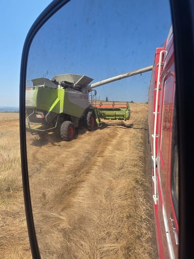 A combine harvester is transferring grain into a red truck in a field of dry, golden stubble under a clear blue sky. The combine is green and white and has large, rugged tires. The truck is bright red with white trim and has a long loading spout. The scene appears to be in a rural area, possibly a farm in Dobrinovo, Bulgaria, given the context. The image is taken from the perspective of someone inside or looking out of a vehicle, as suggested by the mirror frame visible on the left side of the image. The environment is dry and sunny, indicating a harvest season.