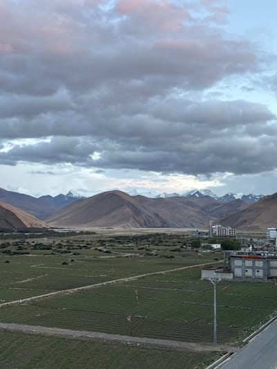 The image depicts a landscape near Tashi Dzom town, China. In the foreground, a green agricultural field with distinct rows stretches out. A road runs along the right edge of the image, separating the field from a cluster of buildings, including residential blocks, and some infrastructure. In the background, brown mountains rise, some capped with snow. The sky is filled with heavy, gray clouds, with lighter patches of blue peeking through.