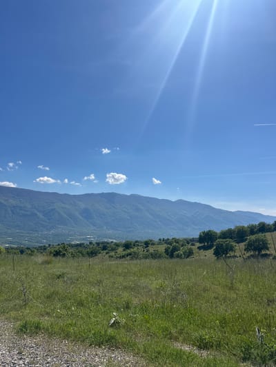 The image depicts a landscape with a mountain range on the left side, transitioning into a grassy field with trees on the right. The sky is clear blue with a few scattered clouds and contrails. A path or road runs along the edge of the field. The location, Borovichene, Bulgaria, cannot be determined from the provided image.