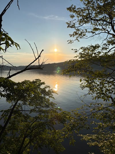 A serene, wide-angle shot captures the tranquil beauty of a lake at sunset, framed by the lush greenery of trees. The sun, a bright orb of light, hangs low in the sky, casting a warm, golden glow that reflects shimmering patterns across the rippling water. The horizon is dotted with the soft silhouettes of distant hills, their contours gently fading into the hazy sky. The foreground is dominated by the dark, silhouetted branches and leaves of trees, their foliage catching the last rays of the sun, creating a delicate interplay of light and shadow. The overall scene evokes a sense of peace and natural splendor, with no people or man-made structures visible. The location in Lipie, Poland, would be a lakeside area, possibly a park or natural reserve, ideal for enjoying the sunset.