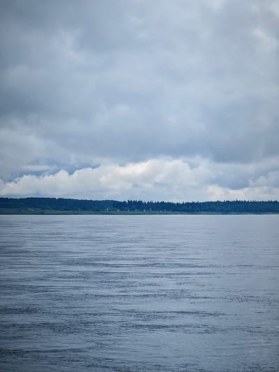 The image depicts a wide, calm river under a cloudy sky. The water exhibits gentle ripples creating horizontal patterns. Along the horizon, a dense, dark green forest stretches across the land, meeting the sky. Scattered white structures are visible within the treeline, appearing as small, geometric shapes against the darker foliage. The overall atmosphere is serene and subdued, characteristic of overcast weather in a natural landscape. The scene is consistent with a view of the Volga River near Vysokogorsky District, Russia, a region known for its extensive forests and waterways. There are no people, animals, or vehicles visible in the image. The lighting is diffused, casting no harsh shadows, and the colors are muted, dominated by blues, grays, and greens.