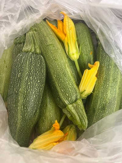 A close-up, overhead shot shows several green zucchinis with yellow flowers nestled inside a translucent plastic bag. The zucchinis are long and cylindrical, with subtle stripes of lighter green and white speckles on their dark green skin. Some of the flowers are fully open, revealing their bright yellow petals, while others are still partially closed. The plastic bag is slightly crinkled and obscures some of the background. The lighting is bright, suggesting an indoor setting. The image does not contain any information about the city of Vallo della Lucania, Italy, or any people.