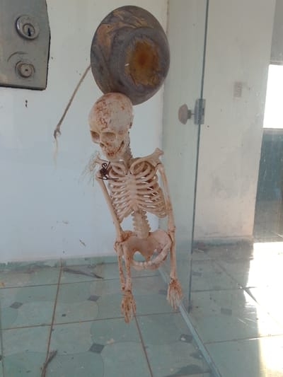 An artificial skeleton is displayed behind glass in what appears to be an exhibit. The skeleton is suspended by a rope from a circular wooden object. A small, dark object, possibly an insect or spider, is attached to the skeleton's chest. The background consists of a white wall with a light fixture and a door handle, and a tiled floor with a blue and dark gray pattern. The image is taken from a slightly elevated angle, looking into the display. The scene is set in the city of São Gabriel Do Oeste, Brazil.