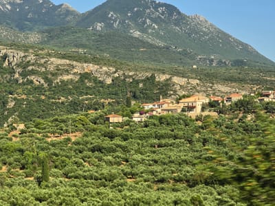 A sun-drenched, panoramic view depicts a Mediterranean landscape with rolling hills covered in olive groves leading up to rugged, green mountains under a clear blue sky. In the mid-ground, a small village with terracotta-roofed buildings is nestled amongst the trees, with some structures appearing to be stone or stucco. A tall, slender cypress tree stands out in the foreground, amidst the dense, lush greenery of the olive trees. The terrain is uneven, with visible rock formations and slopes interspersed with vegetation. The scene suggests a rural setting in the Municipal Unit of Lefktro, Greece, characterized by its natural beauty and agrarian lifestyle.