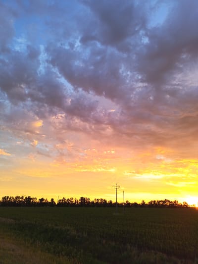 This is a landscape photograph taken in Rodino, Russia. The image captures a sunset over a field. The sky is filled with dramatic clouds, transitioning from shades of blue and grey at the top to vibrant oranges and yellows near the horizon. A line of trees forms a dark silhouette along the horizon, separating the sky from the field below. The field itself is a dark green expanse, likely a crop, with some dry grass and a dirt path visible in the foreground. A solitary utility pole stands in the middle of the field, with wires stretching across the frame. The setting sun is partially visible on the far right, casting a bright glow on the horizon. There are no people or animals present in the image. The overall mood is serene and majestic, typical of a rural sunset.