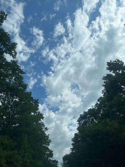 The image shows a view looking up at the sky, framed by trees on the top and bottom. The sky is blue with scattered, puffy white clouds. The trees have green leaves and form a canopy effect, partially obscuring the sky. The location is described as Saratovskaya, Russia.