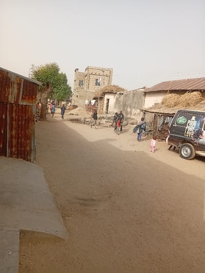 A street scene shows an unpaved road in a rural area. Several people walk along the road, including a small child in a pink outfit. Buildings flank the street, some made of corrugated metal, others of plaster or concrete. A vehicle is parked on the side of the road, displaying a beverage advertisement. The sky is overcast.
