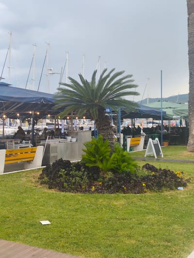 The image depicts an outdoor seating area of a restaurant located in Kavala, Greece. In the foreground, a lush green lawn is visible with a small white object, possibly a piece of paper, on it. A dark green, densely planted garden bed with some yellow flowers runs along the edge of the lawn. Behind the garden bed, a yellow bench is partially visible, situated next to a white structure. Dominating the mid-ground is a vibrant palm tree with green fronds, and beside it, a smaller, bushy green plant.
Behind the plants, the restaurant's outdoor dining area is set up under blue and green awnings, supported by poles. Numerous tables and chairs are arranged for patrons, and string lights are suspended above. Several people are seated at the tables, engaged in dining and conversation. In the background, rows of tall white mast of sailboats are visible, suggesting the restaurant is situated near a marina or harbor. The sky is overcast and light blue. To the far right, a portion of a large palm tree trunk is visible. A white A-frame sign is placed on the lawn in front of the restaurant seating. A seagull is perched on a lamppost in front of the restaurant.