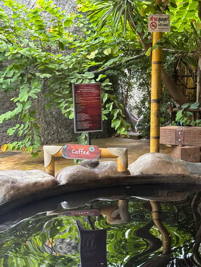 The image captures an outdoor scene in Ban Khlong Khian, Thailand, featuring signs related to coffee and smoking regulations. On the left, lush green vegetation frames a sign that provides information on a "Coffee - Rejuvenating Bath," with the text also translated into Russian. Adjacent to this, there is a "Coffee" sign, written vertically. A yellow bamboo pole bears a "No Smoking" sign, indicating a designated non-smoking area. The backdrop includes a weathered gray surface and reflections suggesting a body of water. The overall setting appears to be a garden or outdoor area associated with a spa or wellness facility.