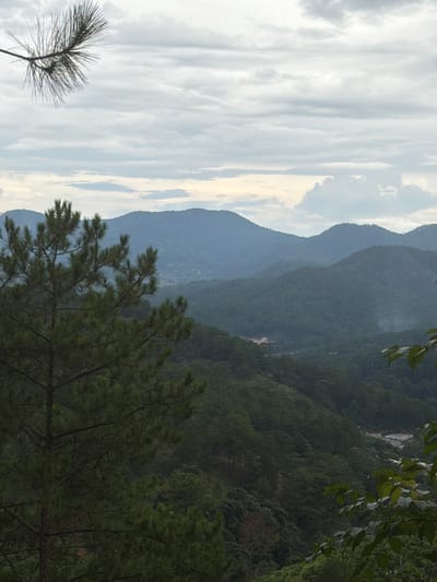 A landscape view shows layered, hazy mountains under a cloudy sky. In the foreground, a pine tree with dark green needles is prominently positioned on the left. The midground and background consist of densely forested hills and mountains that recede into the distance, becoming increasingly blue and indistinct due to atmospheric perspective. A small settlement or buildings are visible nestled in a valley between the hills. The overall scene depicts a mountainous, natural environment with a hint of human presence. The location is identified as Xuan Truong - Da Lat, Vietnam.