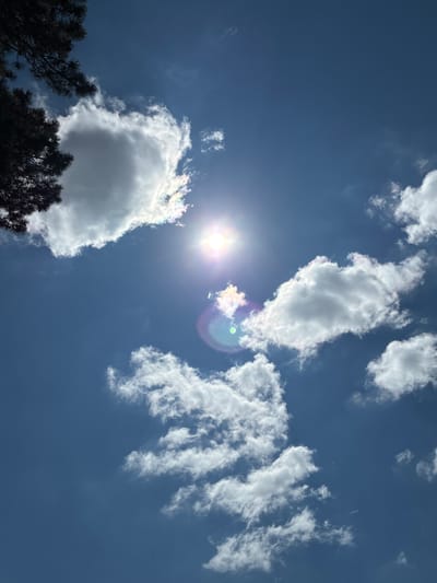 The image is a low-angle shot looking up at a bright blue sky with scattered white clouds. The sun is visible near the center of the frame, shining intensely and creating a lens flare with a rainbow-like halo. In the upper left corner, the dark, silhouetted branches of a tree extend into the frame, partially obscuring a large, fluffy cloud. The overall impression is that of a sunny day with some cloud cover. The image does not contain any information that would indicate its location in the city of Khashuri, Georgia.
