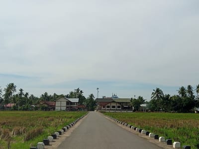 An asphalt road extends centrally into the distance, framed by alternating black and white concrete barriers on both sides. Flanking the road are agricultural fields, predominantly green on the right and a mix of green and golden-brown on the left, indicating recent or impending harvest. In the mid-ground, a cluster of buildings forms a small settlement. On the left, a two-story structure with a white facade and a red-roofed building behind it are visible. On the right, a larger building with a distinctive blue and green roof, possibly a mosque, stands prominently, accompanied by other structures. A metallic lattice tower is visible behind the central buildings. The background is densely populated with various trees, predominantly palm trees, consistent with a tropical environment. The sky is largely overcast, displaying a light grey tone with visible cloud formations. No individuals or animals are present. The scene depicts a rural or semi-rural landscape in Meunasahmeucat, Indonesia.