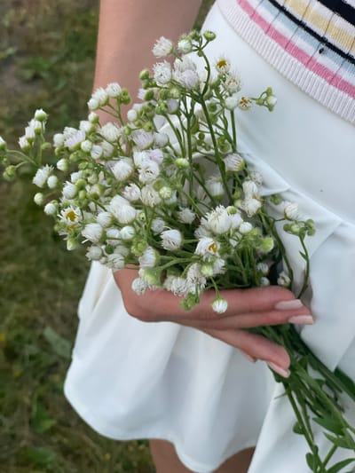 In this close-up shot, a person's hand is holding a bouquet of small white wildflowers. The hand has neatly manicured nails painted a pale pink. The flowers are delicate with white petals and some have a yellow center. They are attached to thin green stems, with some buds also visible. The person is wearing a white dress or skirt, the fabric of which is smooth and reflects light. At the top left of the image, a portion of a striped garment is visible, featuring bands of white, black, pink, and yellow.

The scene appears to be outdoors, with a background of green grass and foliage, suggesting a natural setting. The lighting is soft, hinting at either early morning or late afternoon, and the overall mood is peaceful and gentle. The focus is clearly on the flowers and the hand, creating an intimate and aesthetic composition. There is no visible text in the image.