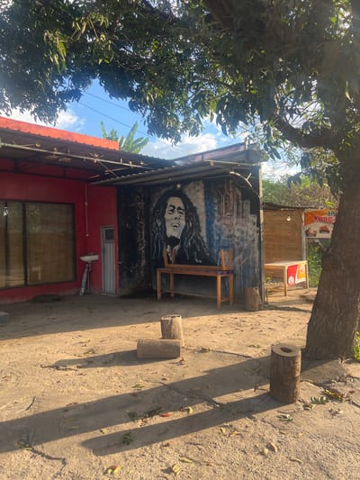 In Gerokgak, Indonesia, this image captures an outdoor scene in front of a red building with a corrugated metal roof, partially shaded by trees. A large mural of Bob Marley is painted on the dark wall of the building. In front of the mural, a simple wooden bench sits. To the left of the mural is a red wall with a large window covered by bamboo blinds, and a white sink mounted on the wall. A narrow doorway is located next to the sink. To the right of the mural, another section of the building is visible, with a bamboo-covered serving area and a sign that reads "LA Kopi" and "Kang". The ground is paved with concrete and scattered with fallen leaves. Several logs are placed on the ground, serving as informal seating or decorative elements. The environment appears to be a casual eatery or a roadside rest stop, bathed in the warm light of the sun.