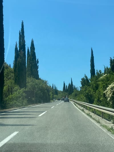 The image captures a view from a vehicle traveling on a paved road lined with tall, slender cypress trees on both sides. The road has white lane markings, indicating a divided highway or a two-lane road with a shoulder. In the distance, several cars are visible, traveling in the same direction as the viewer. The environment is lush and green, with dense foliage and trees on the slopes of a hill. The sky is clear and blue, suggesting a sunny day. The location is identified as Palje Brdo, Croatia.