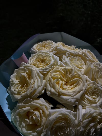 This is a close-up, vertical, eye-level shot of a bouquet of light-colored roses, possibly white or cream, wrapped in pale blue and light pink paper. The roses are tightly packed and fill most of the frame. The background is dark and out of focus, appearing to be foliage, possibly from a tree or shrub. The lighting is dramatic, with strong shadows cast across the petals, highlighting the texture and layers of the flowers. There are no people visible in the image. The image does not contain information about the location in Gorno-Altaysk, Russia.