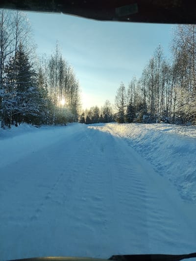 This image depicts a snow-covered rural road through a forest in Малая Уса, Russia. The perspective is from inside a vehicle, looking forward through a windshield, with the upper edge of the dashboard visible at the bottom. The sky is clear and light blue, illuminated by a low-angle sun positioned on the left side, partially obscured by trees. The sunlight creates glare and casts long shadows across the snow. The road surface is uniformly covered in undisturbed snow, displaying faint parallel tire tracks in its center. Snow banks form the shoulders of the road, sloping upwards. Dense forest borders both sides of the road, comprising a mix of tall, slender, bare deciduous trees and darker coniferous trees, all heavily laden with snow or frost. There are no visible people, animals, vehicles, or structures other than the road and natural environment.