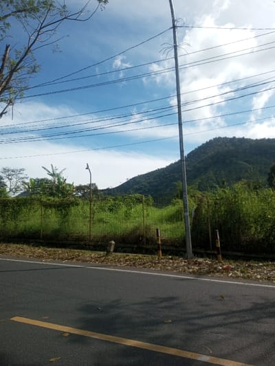 The image depicts an outdoor roadside scene in the city of Phonengam, Laos. In the foreground, a dark asphalt road features a single faded yellow lane line running horizontally across its visible surface. The immediate roadside to the right of the asphalt is covered with dry, fallen brown leaves. Along this strip, three short vertical markers are present: one light-colored, angular block, and two cylindrical bollards with alternating dark and light horizontal stripes.

A wire fence stretches horizontally across the midground, separating the roadside from an overgrown field of lush green vegetation. Within this vegetation, distinct banana plants are visible on the left. A tall, gray metallic utility pole stands centrally on the right side of the frame, extending upwards and supporting multiple dark overhead power lines that traverse the sky. The pole also features a multi-pronged structure near its upper section.

The background is dominated by a large, dark green, tree-covered mountain rising prominently on the right side of the scene. The sky is clear blue with scattered white clouds. The upper left corner shows the bare branches of a tree. No people, animals, or active subjects are present.