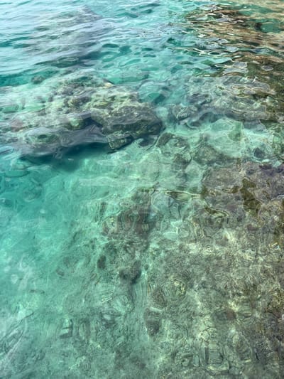 An overhead view of clear, turquoise water revealing a rocky seabed. Sunlight dances on the surface, creating intricate patterns and distortions. The rocks are various shades of gray and brown, adding depth and texture to the underwater landscape. The water is shallow, allowing for clear visibility of the details below. The scene is serene and natural, with a focus on the interplay of light, water, and stone.