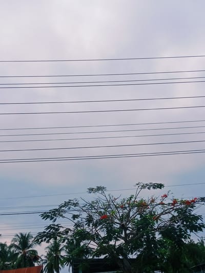 This photograph, taken in Bangkajaya, Indonesia, depicts an overcast sky dominating the upper two-thirds of the frame. Seven parallel overhead utility lines, black in color, stretch horizontally across the sky from left to right. The lower third of the image features the upper canopy of a large tree with dark green leaves and numerous clusters of bright red flowers. Behind and to the left of this flowering tree, the tops of several palm trees with dark green fronds are visible. A portion of a reddish-brown corrugated metal roof is discernable in the lower left quadrant beneath the palm trees. No people, animals, or specific actions are visible within the scene.