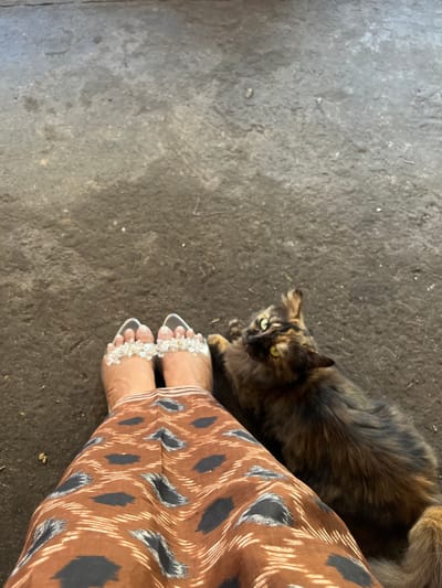 A person's legs, clad in a brown skirt with a black and white abstract pattern, and silver heels adorned with clear rhinestones, are positioned on a dark, textured ground. To the right of the person's legs, a tortoiseshell cat with green eyes is lying down and looking upwards. The ground appears to be a concrete surface, possibly a pathway or floor, with visible imperfections and scattered debris. The scene is captured from a high-angle perspective. The image does not provide any specific visual cues to determine the exact location within Mendoyo, Indonesia.