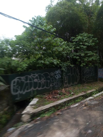 A slightly blurred, low-angle shot reveals a green wall covered in graffiti. The graffiti appears to be white or light-colored and consists of various tags and symbols. The wall is partially obscured by foliage, including leafy green bushes and bamboo trees, which suggest a somewhat overgrown or wild area. Above the foliage, electrical lines stretch across the sky. A concrete drain or gutter runs along the base of the wall, separating it from a dark, possibly asphalt road or path. The location is Taunggyi, Myanmar.