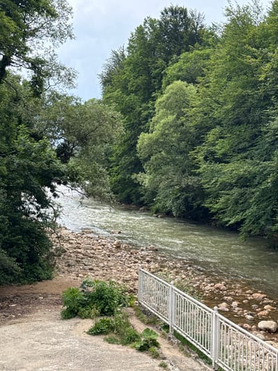 The image depicts a scenic view of a river flowing through a lush, green forest. The riverbed is covered in smooth, rounded stones of various sizes. On the right side of the river, a white metal railing runs alongside a paved path, suggesting a maintained walkway or observation area. Dense foliage of trees with vibrant green leaves dominates the left side of the image, creating a natural, wooded environment. The water in the river appears slightly murky and is flowing gently. The overall scene evokes a sense of natural beauty and tranquility. The time of day appears to be daytime, with soft, diffused light, suggesting overcast or cloudy weather. There are no people or animals visible in the image, nor is there any visible text. The location context provided indicates this scene is in Guamka, Russia.