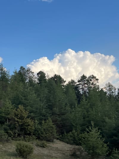 The image depicts a partly cloudy sky over a densely wooded area, likely a forest or a mountainside. A large cumulus cloud occupies the left side of the frame, contrasting with the clear blue sky. The trees, predominantly coniferous, form a thick canopy with varying shades of green. A grassy slope or embankment is visible on the right side of the image, offering a glimpse of the terrain. The location is likely in Kribul, Bulgaria, but without additional visual context, this identification is based solely on the prompt. No people, specific objects, actions, or interactions are apparent in the scene. The environment suggests a natural, possibly mountainous, landscape.