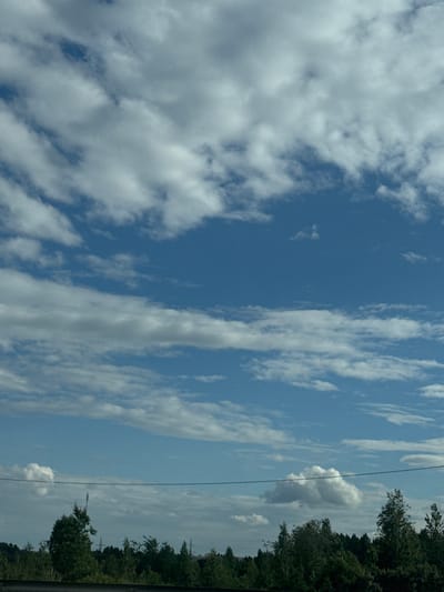 The image depicts a view of a sky with scattered clouds, predominantly white and gray against a clear blue backdrop. The clouds vary in density and texture, with some appearing wispy and others more solid. A thin, dark wire stretches horizontally across the frame, likely a power line or telephone wire. On the right side of the image, a dense line of green trees forms the horizon, suggesting a natural landscape or park. The sunlight filtering through the clouds indicates it is daytime. The image orientation is portrait, with the sky occupying the majority of the frame. No people or text are visible. The scene suggests a typical outdoor environment, possibly taken from a moving vehicle due to the slight blur and the perspective. The location context is Vysokovo, Russia.