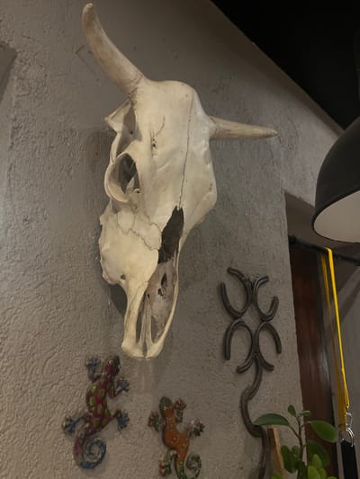 The image displays a rustic wall decoration featuring a variety of objects. The central and most prominent subject is a large, aged cow skull, positioned on a light gray, textured wall. The skull, likely real, is off-white and shows details of its bone structure, including eye sockets and nasal cavity, but is missing its lower jaw. It is oriented diagonally, with the horns pointing upwards and to the left, and the front of the skull facing right.
Above and to the right of the skull, a decorative metal piece shaped from four interconnected horseshoes is affixed to the wall. Further to the right and below this, two colorful, painted metal figures of lizards or geckos are also mounted. The upper lizard is primarily orange and brown with green spots, while the lower one is reddish-purple with green spots and blue accents.
In the upper portion of the image, a dark, blurred object (possibly a speaker or light fixture) hangs near the ceiling. A bright yellow strap or cable with a silver metal clip runs from this object towards the right, connecting to an unseen fixture, potentially supporting a small green plant that is partially visible in the upper right corner.
The setting appears to be an indoor or covered outdoor space, possibly a patio or a room with a decorative, somewhat Southwestern or ranch-style theme, which aligns with cultural aesthetics found in regions like Cordoba, Argentina. There is no specific activity taking place, as it is a still life arrangement of decorative elements. The lighting appears somewhat dim, highlighting the textures of the wall and objects. No visible text is present in the image.