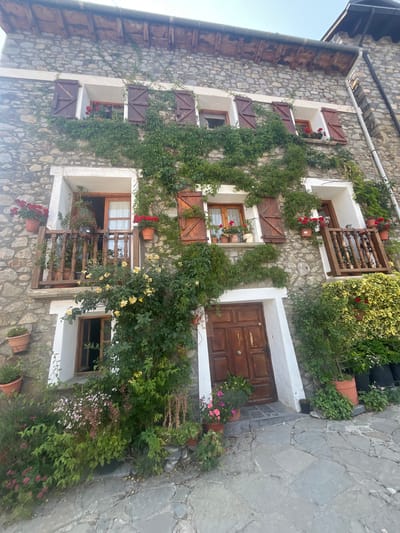 The image captures the exterior of a stone building in the city of Benasque, Spain. The facade is adorned with climbing green vines and potted red and yellow flowers, creating a rustic and charming appearance. Several windows with wooden shutters are visible, some open to reveal interior views and others closed. A wooden balcony with a railing extends from one of the windows. The ground in front of the building is paved with irregular stone slabs. A wooden door is situated at the entrance. The scene suggests a residential or commercial building in a traditional architectural style, possibly in a mountainous region given the stone construction and greenery. The lighting indicates it is daytime.