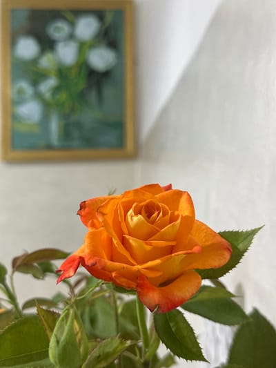 A single, vibrant orange rose is in sharp focus in the foreground of the image. The rose has multiple layers of petals, with the edges subtly tinged with red. Green leaves and a tightly closed bud are visible below the bloom. In the background, slightly out of focus, is a framed painting of white flowers with green stems, and a textured white wall with a shadow cast on it. The image appears to be taken indoors, possibly in a residential setting.