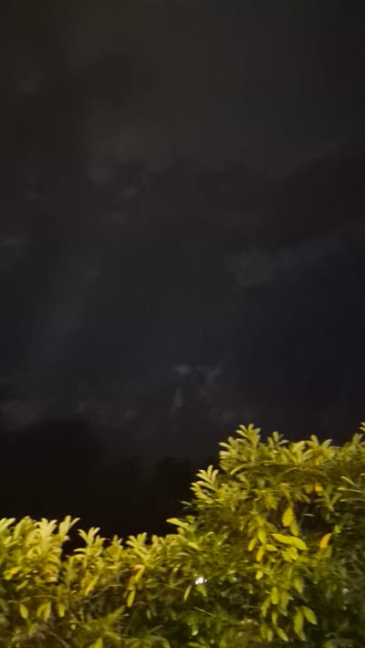 A nighttime image captures a dense canopy of bright yellow-green foliage in the lower portion, partially obscuring a dark, cloudy sky above. The clouds appear slightly illuminated from below, suggesting artificial light sources. There are no discernible people, animals, or structures in the frame. The scene is consistent with an outdoor setting in Dissen am Teutoburger Wald, Germany, where vegetation is common and artificial lighting from nearby areas would create such sky illumination. The image's composition suggests a close-up view of the upper branches of a bush or small tree.