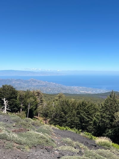 The image captures a sweeping vista from a high vantage point, likely on Mount Etna, overlooking the city of Linguaglossa, Italy, and the Ionian Sea. The foreground is dominated by the dark, rocky, and uneven terrain characteristic of volcanic slopes, sparsely populated with low-lying green vegetation and small white wildflowers. A prominent, bleached, dead tree stands on the left side, its stark form contrasting with the lush green of the surrounding forest.

Beyond the immediate volcanic landscape, a dense forest of mature green trees stretches across the middle ground, forming a verdant band that slopes downwards. The trees are a mix of deciduous and coniferous species, with some appearing taller and more slender while others are broader and fuller.

Further in the distance, the undulating landscape of hills and mountains unfolds, displaying various shades of green and brown, indicative of a Mediterranean climate. The city of Linguaglossa is nestled within these lower hills, a collection of buildings visible as a cluster of muted colors and textures.

The expanse of the Ionian Sea forms the horizon, its surface a deep blue under a clear, bright sky. The water appears calm, with a hint of haziness obscuring the distant coastline. A thin line of clouds is visible above the distant landmasses on the far horizon. The sky is a gradient of intense blue at the zenith, gradually lightening towards the horizon. The overall impression is one of natural grandeur and expansive natural beauty, with human civilization a subtle presence in the vast landscape.