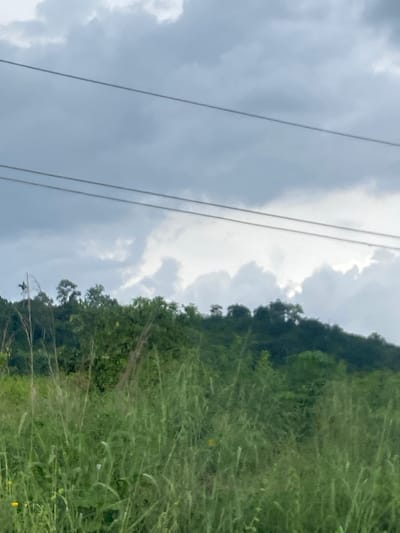 The image displays a natural landscape with the sky dominating the left side and dense vegetation on the right. The sky is largely overcast, showing a range of grey clouds from lighter, brighter patches where light might be breaking through, to darker, more solid formations. Two thin, parallel lines, likely utility wires, extend vertically across the left half of the sky.
The right side of the image features a lush, green hillside or vegetated slope. This area is thickly covered with trees and tall grasses, creating a rich, textured green mass. The upper edge of this vegetation forms an uneven, natural horizon against the cloudy sky. In the lower right foreground, amidst the tall grasses, a few small yellow flowers are visible.
No specific activity or event is taking place; the image presents a static natural scene. The time of day appears to be daylight, under cloudy or heavily overcast conditions, providing soft, diffused light. There are no people, animals, or discernible man-made structures apart from the wires. No visible text is present. The dense, vibrant greenery is consistent with the provided location context of Sasaro, Nigeria.