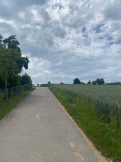 An asphalt path curves gently through a rural landscape under a cloudy sky. On the left side of the path, a wire fence encloses a grassy area with trees and hedges. To the right, a field of green crops, likely wheat, stretches towards the horizon. In the distance, more trees and a hint of a building or structure can be seen. The scene appears to be located in Sachsenheim, Germany, given the context provided.