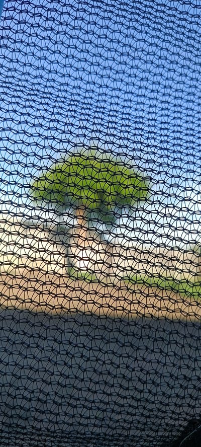 The image is a vertical shot taken through a black net. The background is a blue sky with some light clouds, and a blurry green tree with a light brown trunk. The net is made of interlocking oval shapes. The bottom portion of the image is darker, suggesting shade or a closer perspective of the net. The scene appears to be outdoors. There is no indication of the city of Хохлы, Russia.