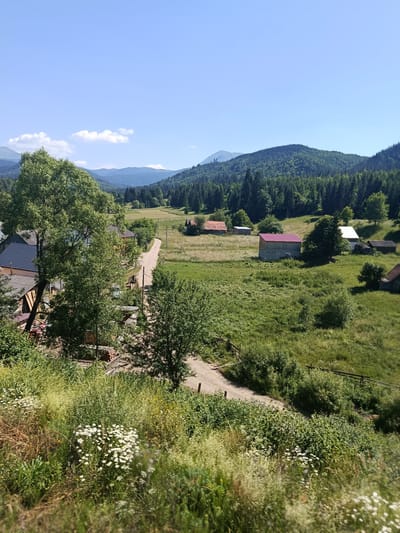 This is a panoramic, eye-level outdoor photograph taken on a sunny day, showing a rural landscape in Lazeshchyna, Ukraine. The scene is dominated by rolling hills covered in lush green trees, with some scattered buildings and a dirt road winding through the terrain. In the foreground, wildflowers and tall grasses create a textured border.

The middle ground features several structures, including houses with dark tiled roofs, a barn with a red metal roof, and other smaller outbuildings. A dirt road, likely a rural path, extends from the foreground, passing by the buildings and disappearing into the distance. Fencing made of wooden posts and wire runs along some of the fields.

The background is characterized by a range of mountains, densely forested with dark green trees, under a clear blue sky with a few scattered white clouds. The overall impression is one of a tranquil, natural setting with a hint of human habitation. There are no people visible in the image.