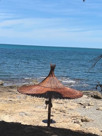 This image depicts a straw umbrella on a rocky beach in El Perelló, Spain, with the Mediterranean Sea in the background. The umbrella is positioned in the center of the frame, its brown straw canopy casting a shadow on the sandy and rocky terrain. The sea, a vibrant blue, stretches to the horizon under a clear sky with a few wispy clouds. The shoreline is marked by rough, light-colored rocks interspersed with sand. A thin, bare branch extends into the upper right corner of the image, possibly from a tree or shrub on the coastline. No people are visible in the scene.