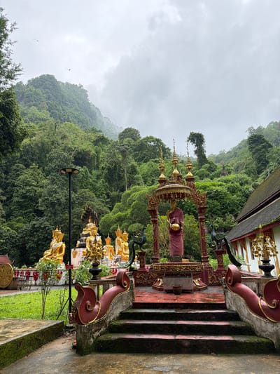 This detailed image captures a Buddhist temple complex nestled at the base of lush, jungle-covered mountains in Chiang Dao, Thailand, under an overcast sky.

In the immediate foreground, a wet concrete path with moss leads to a set of three red-tiled steps, also exhibiting moss growth. These steps ascend to a raised, red-tiled platform. An ornate, red and gold curved balustrade with a prominent volute-like scroll forms the right side of the staircase.

On the raised platform, centrally positioned, stands a life-sized statue of a Buddhist monk or figure, clad in deep red robes and holding a golden alms bowl. This figure is sheltered by an elaborate, multi-tiered golden canopy with red decorative elements, supported by four pillars. To the left and right of this central statue, on the platform, are two large, ornate metallic statues of peacocks, facing inwards. To the far right, partially visible, is a white temple building with a dark, multi-tiered gabled roof, adorned with golden spires and decorative elements.

To the left of the main platform, a collection of golden Buddha statues is arranged on a white tiered base. The most prominent among these is a large, seated Buddha statue under the protective hood of a multi-headed Naga (serpent), executed in gold and black. Surrounding it are several other golden seated Buddha statues, some featuring elaborate crowns or headwear. A tall, black street light with a circular solar panel top stands directly in front of these golden Buddha statues. A patch of green grass with sparse vegetation occupies the ground to the left, and a large, golden Dharma wheel artifact is partially visible in the far left.

The midground is dominated by dense, vibrant green tropical forest covering steep mountains that rise directly behind the temple complex. The upper portions of these mountains are partially obscured by low-hanging clouds or mist. The sky above is uniformly overcast, a light grey, with visible cloud formations. The ground surfaces, including pathways, steps, and platforms, appear wet, indicating recent precipitation or high humidity.