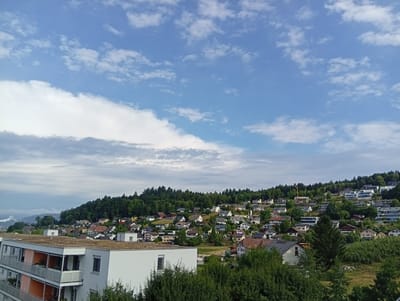 The image shows a view of a hillside residential area in Zofingen, Switzerland. In the foreground, there is a modern apartment building with balconies and a white facade, partially covered by trees. Behind this building, the hillside is densely populated with houses of various architectural styles, many of them appearing to be single-family homes. These houses are nestled among green trees and vegetation. The top of the hill is covered with a dense forest. The sky above is blue with scattered white clouds. In the distance, there are mountains with some fog or clouds. There are no people visible in the image. The scene depicts a typical suburban or semi-rural environment.