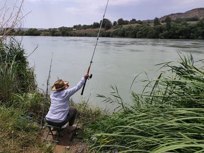 A lone angler, wearing a straw hat and a checkered shirt, sits on a portable stool facing a wide, murky river. They are actively fishing, holding a long fishing rod that extends over the water. The riverbank is covered in tall, dry grasses and reeds. In the background, the opposite bank of the river is lined with dense trees and rolling hills under a cloudy sky. The scene appears to be in a rural or semi-rural area, consistent with the outskirts of the city of Taş-Kömür City, Kyrgyzstan, known for its riverine landscapes and natural surroundings.