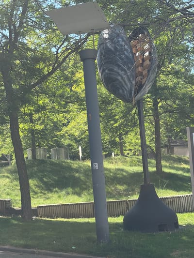 This media file captures an outdoor scene on a sunny day. The primary subjects are large, dark, shell-like sculptures, possibly representing mussels. One sculpture is open, revealing a textured interior with lighter-colored elements. These sculptures are mounted on tall, dark poles. To the left of the shell sculptures, a flat, light-colored object, possibly a sign or panel, is attached to a pole.
The setting appears to be a park or outdoor public space with lush green grass and trees. Sunlight filters through the leaves, creating dappled patterns on the ground. In the background, there are glimpses of wooden structures that resemble benches or decorative elements, and a building facade. There are also some cylindrical, mesh-like structures visible in the background, further suggesting a park or recreational area.
No people are visible in the media file. The activity appears to be static, focusing on the sculptures as elements within the landscape. The time of day is likely midday or early afternoon due to the strong sunlight and shadows. The weather is clear and pleasant.
There is no discernible text within the visible area of the media file, apart from what appears to be a small sticker or label on one of the poles, which is too blurry to read. The overall impression is one of a tranquil, possibly artistic, outdoor environment. The location context is Evere, Belgium, which aligns with the presence of greenery and a generally temperate climate.