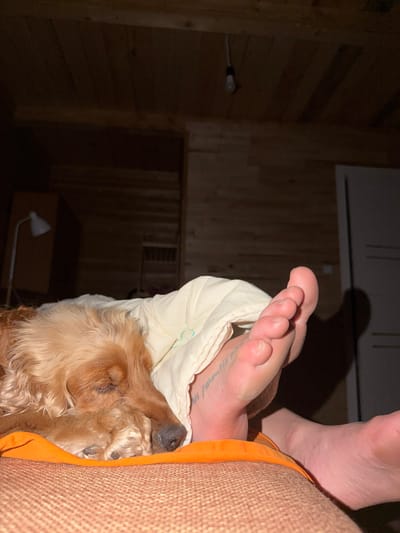The image shows a close-up view of a person's feet and a sleeping dog. The dog, a golden-colored breed, is nestled under a light-colored blanket next to a bare foot. The foot has a tattoo on the arch. The scene appears to be indoors, with wooden walls and ceiling visible in the background. A lamp is visible on the left side of the frame, and a doorway is on the right. The lighting is dim. The location is specified as Emel'yanovo, Russia.