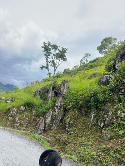 The image depicts a rural roadside scene in Lùng Tám Commune, Vietnam. A gravel road occupies the bottom left of the frame, with a motorcycle's rearview mirror visible in the foreground, reflecting a person wearing a black shirt and a necklace. The road runs alongside a steep, rocky hillside covered in lush green vegetation and grass. Scattered rocks of various sizes are embedded in the slope, with some larger formations dominating the terrain. A slender tree with sparse foliage stands prominently on the hillside, and other trees and dense greenery are visible further up the slope. In the distance, misty mountains can be seen under a cloudy, overcast sky, suggesting a humid or potentially rainy day. Black cables run along the base of the rocky slope, some marked with pink ties. The overall impression is a natural, untamed landscape typical of a mountainous rural area.