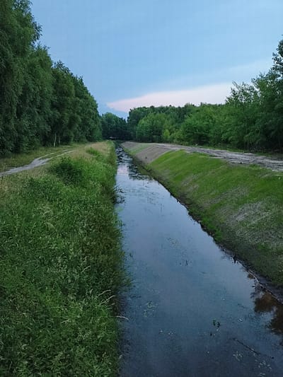 The image depicts a narrow, dark canal or drainage ditch bordered by lush green vegetation on the left and a sloped, grassy embankment with a dirt path on the right. The canal's water is murky with some scattered aquatic plants. Beyond the canal, dense green trees line both sides, forming a natural barrier that extends into the distance. The sky above is a pale blue, transitioning to a lighter shade near the horizon, suggesting either dawn or dusk. A dirt path runs along the left bank of the canal, disappearing into the trees. The overall scene is tranquil and appears to be located in a rural or park-like setting. The specific location in Papenburg, Germany, is not discernible from the visual information alone.