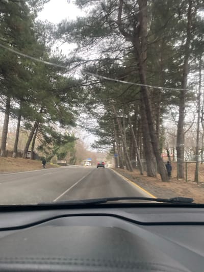 A road stretches into the distance, flanked by tall, bare-branched trees. The perspective is from inside a vehicle, with parts of the dashboard visible on the right. Another car is further ahead on the road. The weather appears overcast, and the light is dim. The scenery suggests a rural or park-like setting, possibly during late fall or winter.
